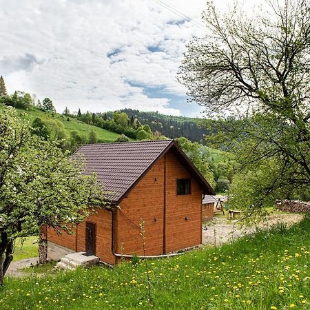 Villa Grace Орявчик Екстериор снимка