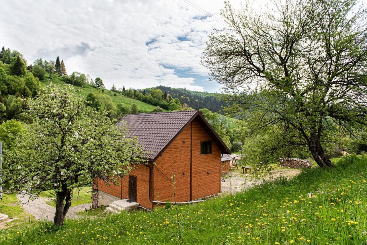 Villa Grace Орявчик Екстериор снимка